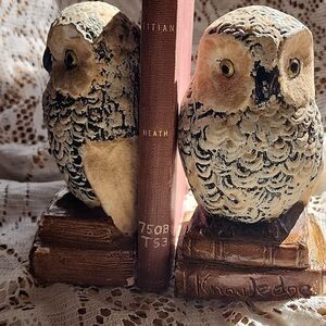 Chippy Chalkware Knowledge Owl Bookends